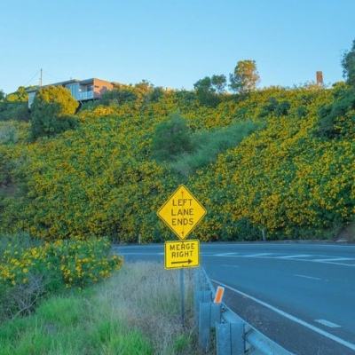 时尚精品购物店